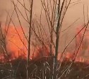 Сухая трава горела в нескольких районах Сахалина