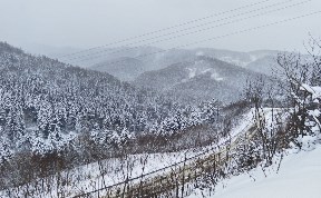 Общество