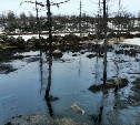 Разлив нефти не ликвидируют на севере Сахалина несколько месяцев 