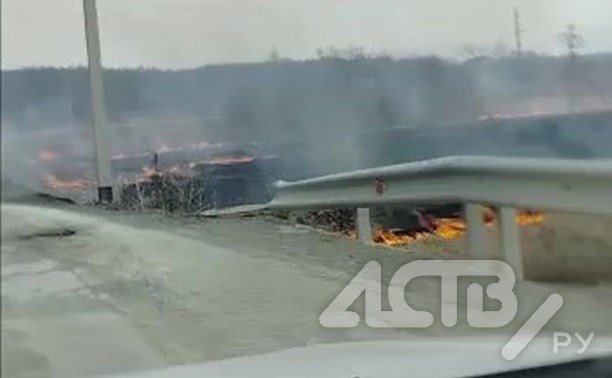 Пламя бушует у автомобильной дороги на юге Сахалина