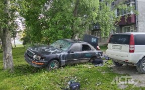 Общество