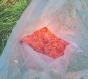 Больше 6 килограммов красной икры изъяли у молодого браконьера в Макарове