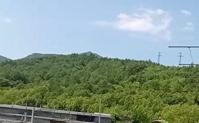 Общество