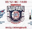 Островитян приглашают на гала-матч, посвящённый 10-летию ХК "Сахалинские Акулы"