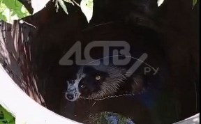 Общество