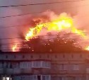 Очевидцы: лесной пожар в Невельске приближается к городу