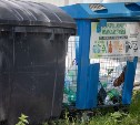 Жители Сахалинской области в июне отправили на сортировку 175 тонн отходов