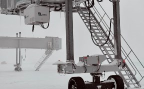 Общество
