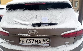 Общество
