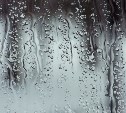 Дождь и до +24°: синоптики уточнили прогноз для Сахалина на 21 июня