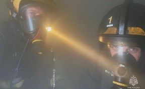 Происшествия