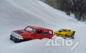 Общество