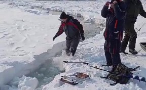 Общество