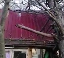 Столетнее дерево упало на дом во время циклона на Курилах