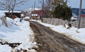 Общество