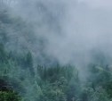 Новый формат прогулок стартует на горе Большевик