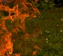 Высокая пожарная опасность сохраняется в лесах пяти районов Сахалинской области