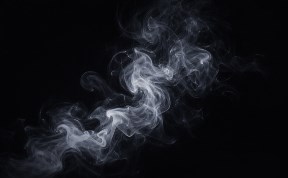 Общество
