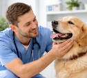 В России хотят ввести налоговый вычет за услуги ветеринаров