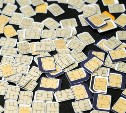 C 1 апреля на "Госуслугах" заработает сервис для проверки регистрации СИМ-карт