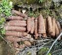 Гранаты и реактивные снаряды: как военные ведут разминирование курильского острова Шумшу