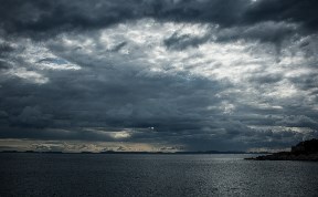 Общество