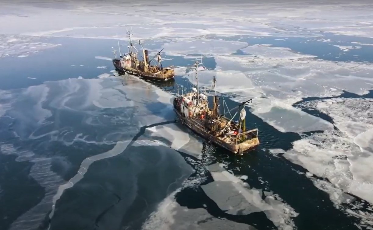 Вальс судов среди льдинок: как выглядит наважья путина на Сахалине с высоты птичьего полёта