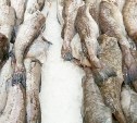Сахалинцев приглашают за доступной рыбой от 69 рублей за килограмм