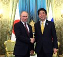 Рабочая группа обсудит условия будущего взаимодействия Японии и России уже в ноябре