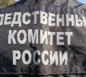 Председатель СК России взял на контроль расследование уголовного дела по нападению собаки на сахалинку