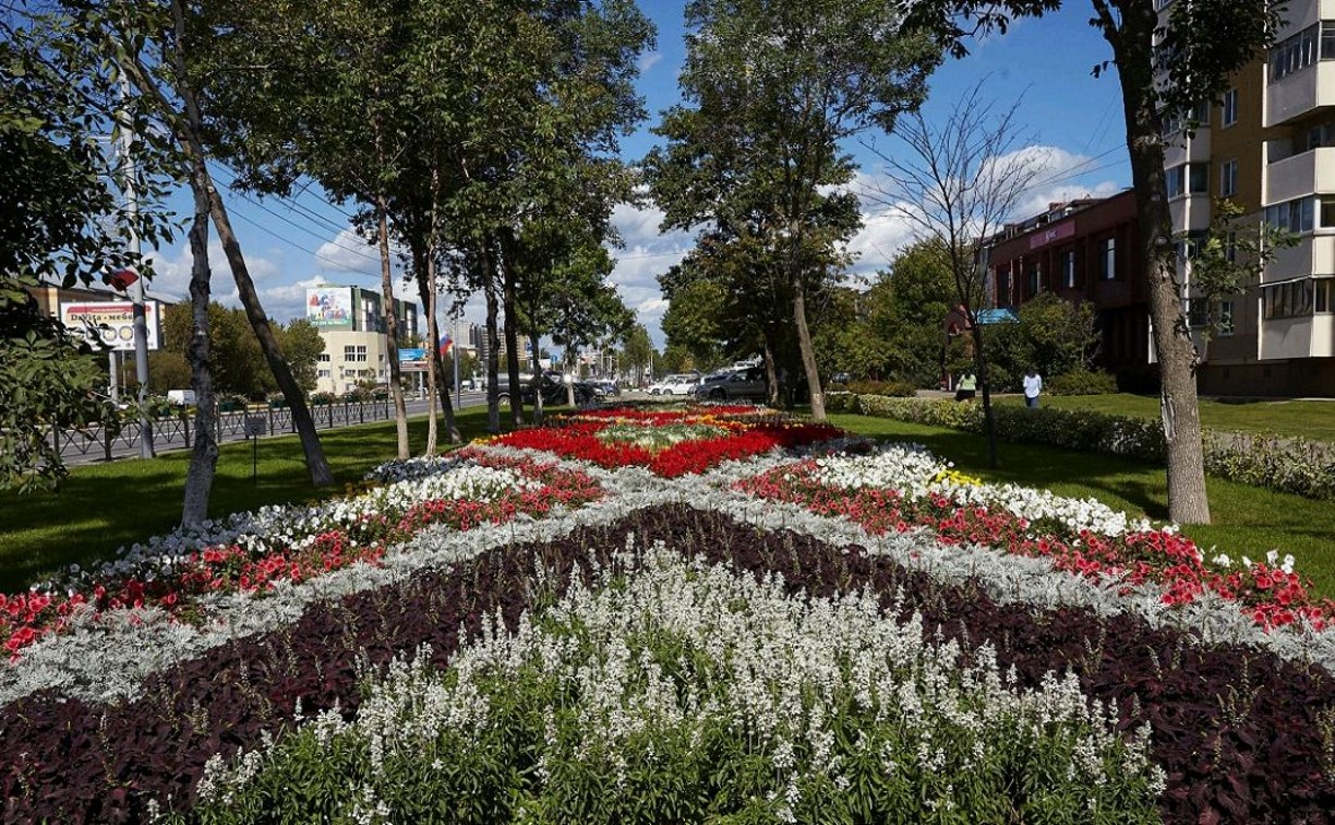 Более 600 тысяч цветов украсят летом улицы Южно-Сахалинска