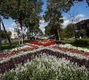 Более 600 тысяч цветов украсят летом улицы Южно-Сахалинска