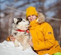 Турцентр для любителей ездового спорта на собачьих упряжках открылся на Сахалине