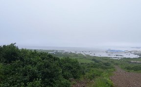 Происшествия