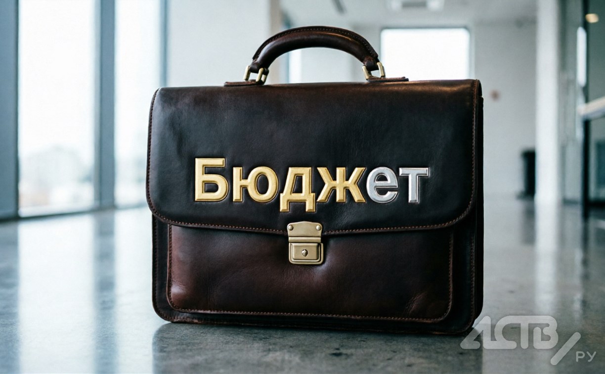 Минфин: сахалинцы одобрили исполнение областного бюджета за 2025 год 