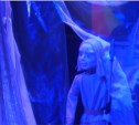 В Сахалинском театре кукол прошла премьера спектакля «Как Иван Чудо-рыбу спасал»