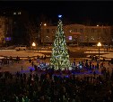 Новогоднюю елку зажгли в Корсакове