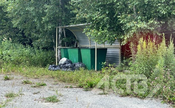 "Трупы собак в пакетах": в южно-сахалинском СНТ творится что-то страшное