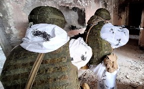 Общество