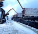 Простаивавший сахалинский порт начал отгрузку угля