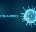 В Сахалинской области начали отмечать тяжелые случаи нового коронавируса