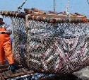 Предложения губернатора Сахалинской области станут частью плана развития рыбной отрасли в стране