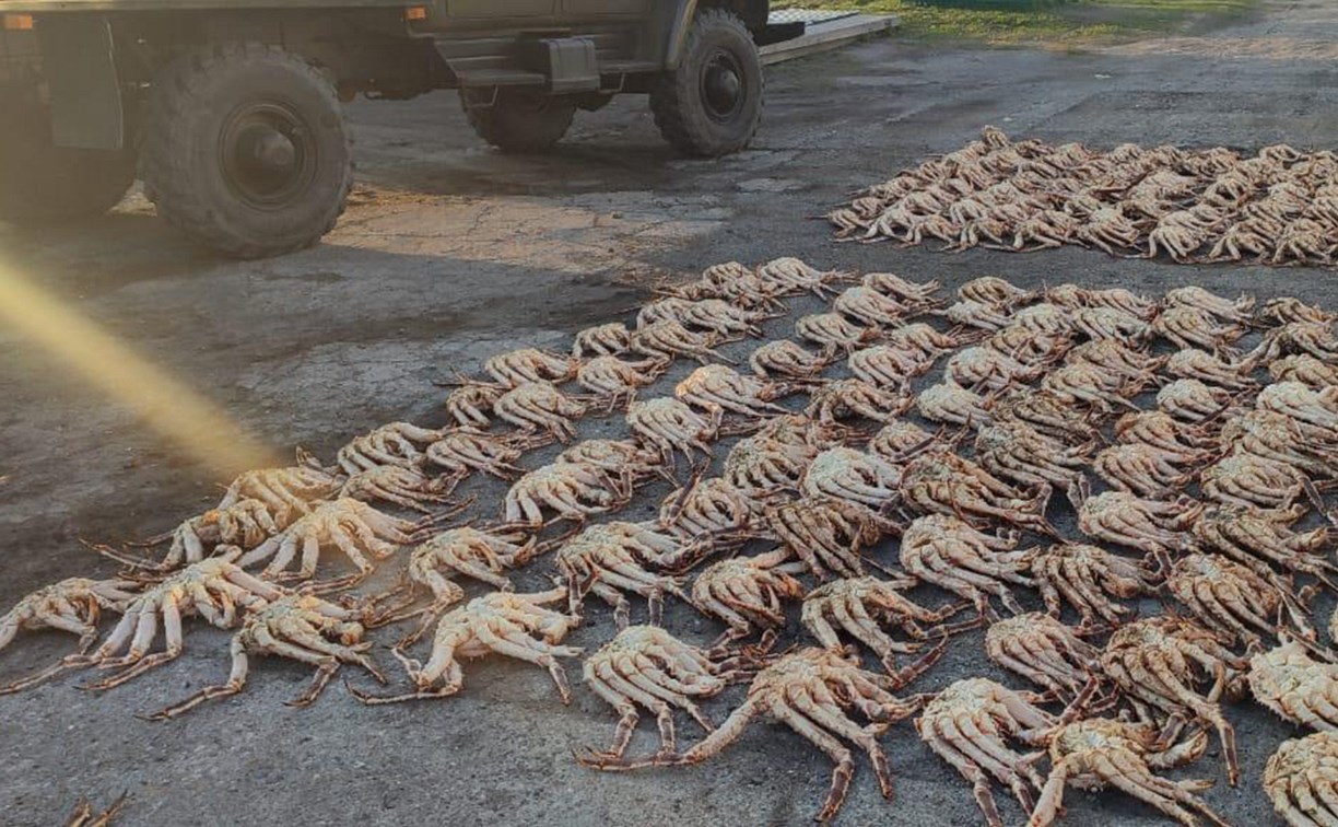 Больше полутонны камчатского краба изъяли пограничники у браконьеров на Сахалине