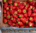 "Ясные дни": новый медиапроект расскажет о людях, которые вдохновляют Сахалин и Курилы