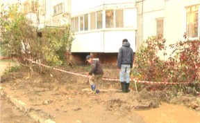 Общество