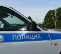 Похищение щенка у пенсионерки в Корсакове раскрыли сахалинские полицейские