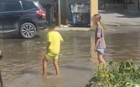 Общество