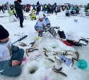 Фестиваль подледной рыбалки "Сахалинский лёд-2025" торжественно открыт