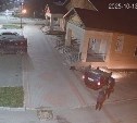 "Водитель еле стоял на ногах": невероятный кувырок "Филдера" на крышу в Долинске попал в объектив камеры 