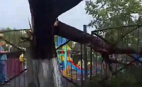 Происшествия